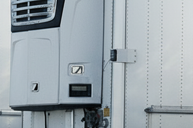 Specialised Refrigerated Transport